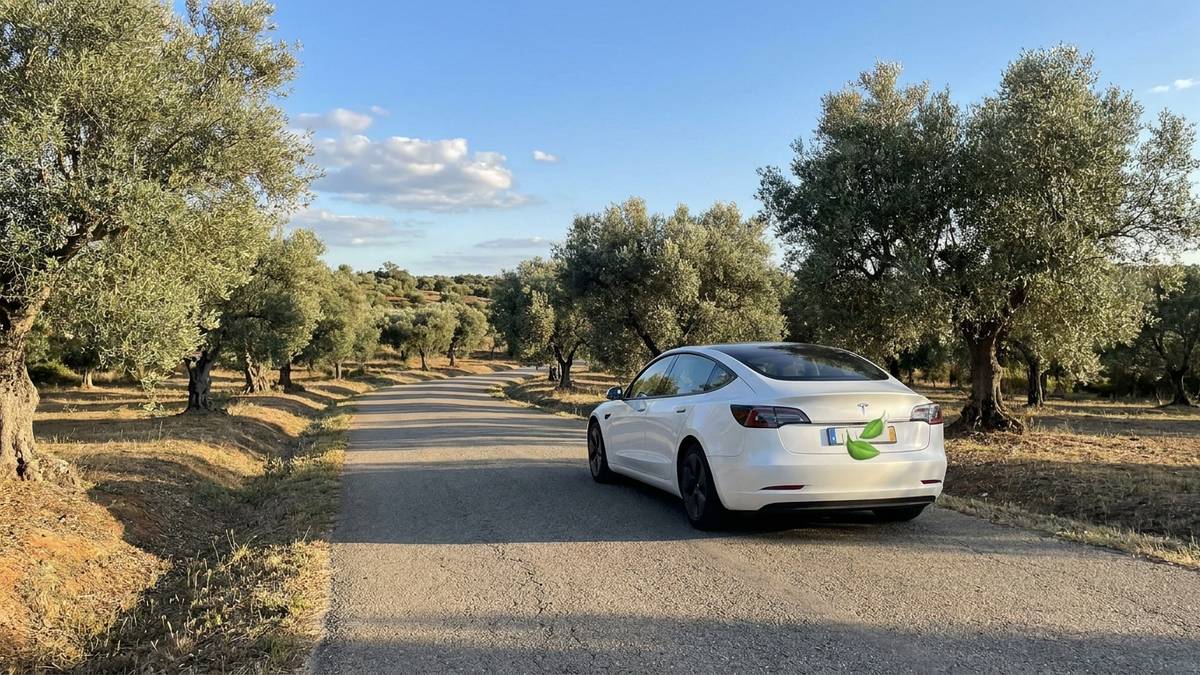 Costa Vicentina Without a Car: Complete Guide