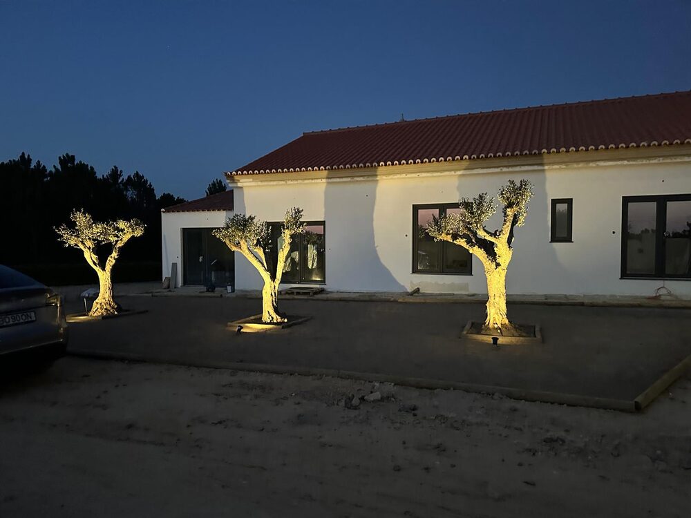 Villa Raízes Vicentinas, Night view, Costa Vicentina